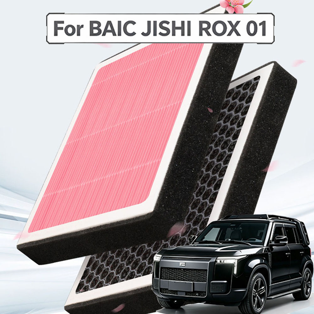 For BAIC JISHI ROX 01 2024-202 - Filter Replacement N95 评论和价格